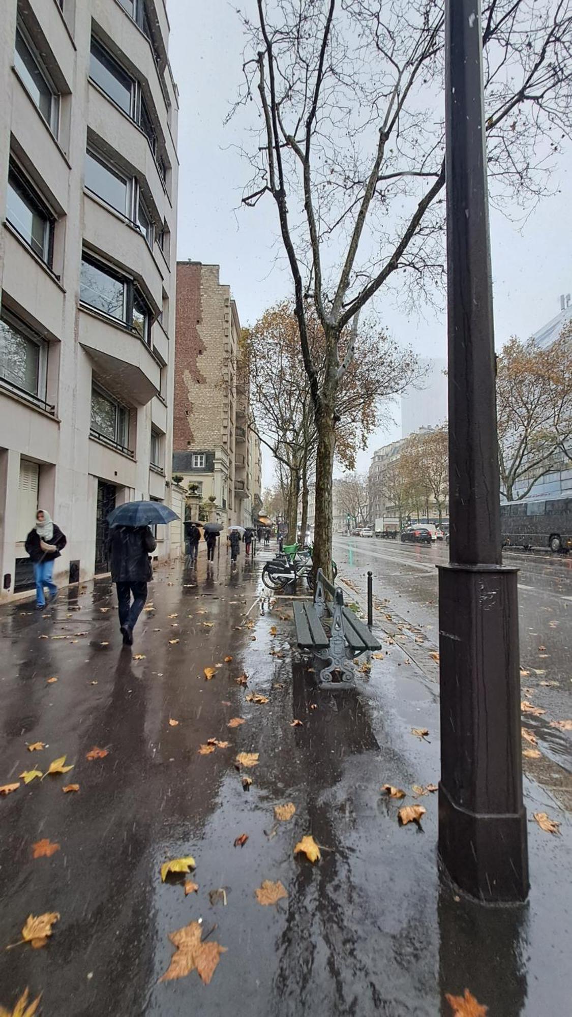 Studette Cosy Ideal Pour Un Sejour Parisien Metro Duroc